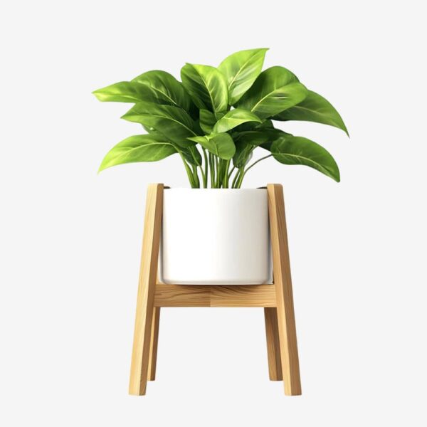 Wooden Plant Stand with White Planter