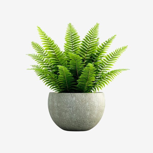 Textured Stone Planter with Ferns