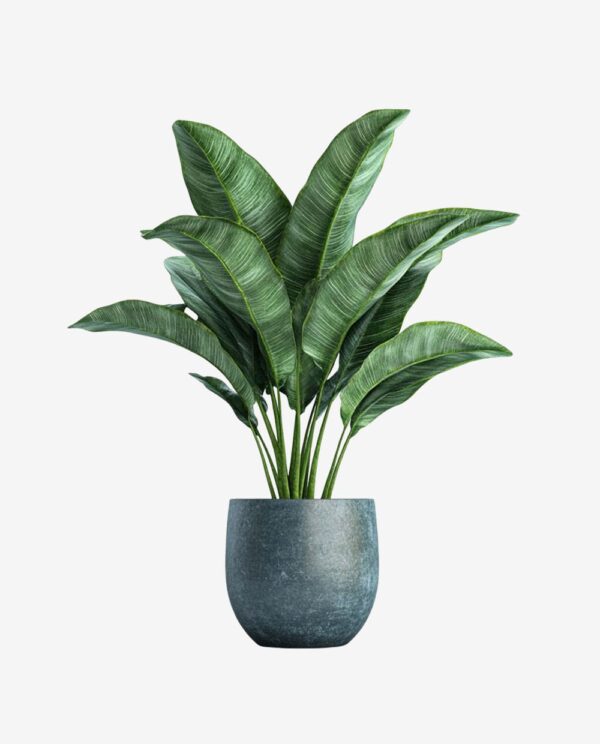 Second image of Elegant Wooden Planter with Stripes