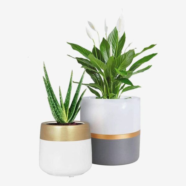 Set of Modern Ceramic Planters