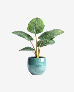 Glazed Green Ceramic Plant Pot