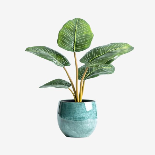 Glazed Green Ceramic Plant Pot