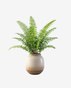 Second image of Glazed Green Ceramic Plant Pot