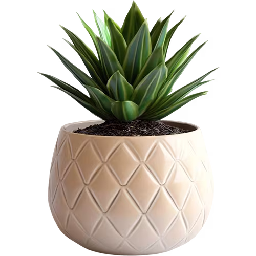 Flower Pots & Planters