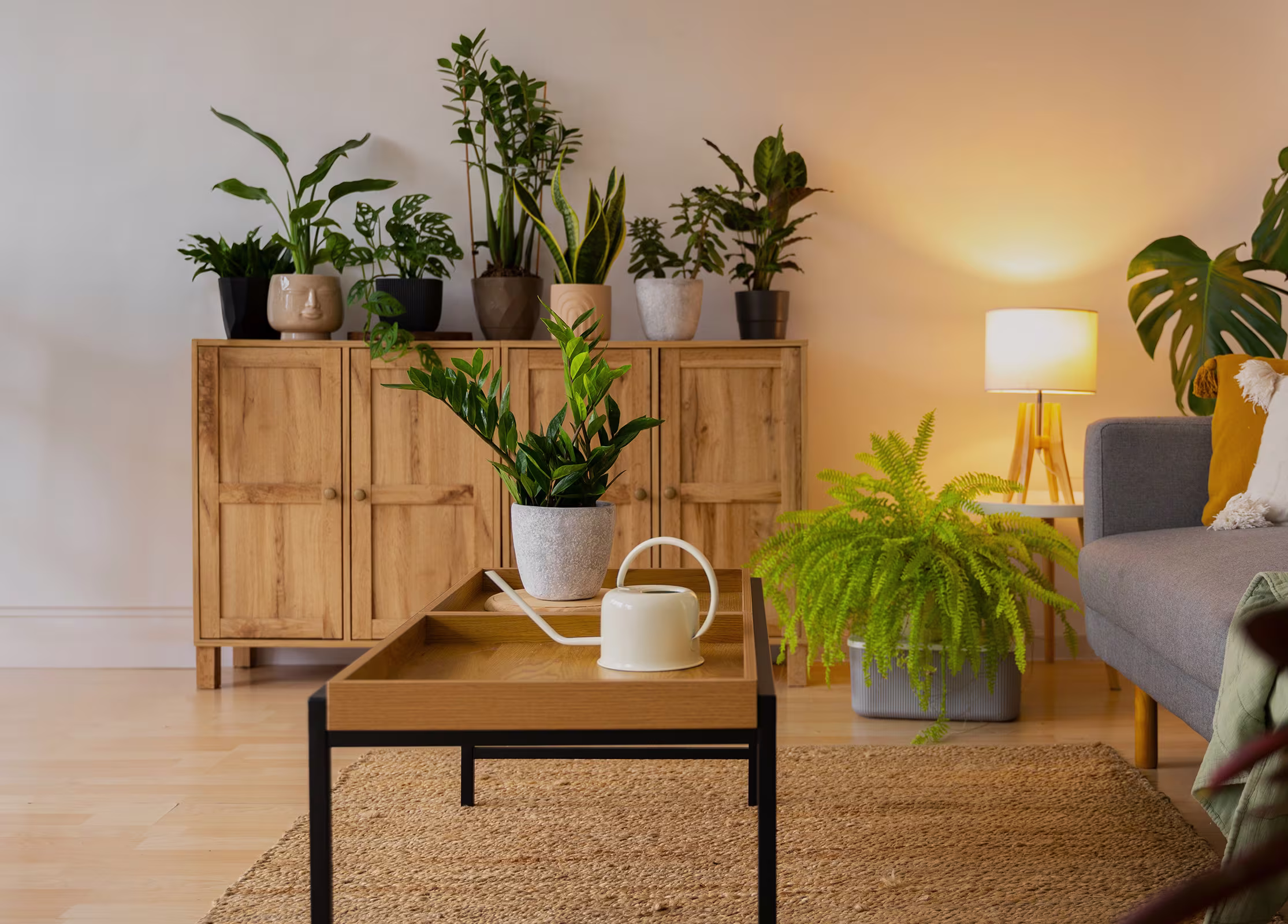 CHIC CROP TOP COLLECTION