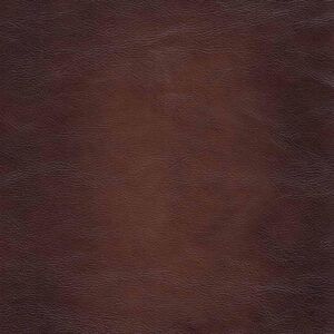 71mqfsmGS8L._AC_SL1000_