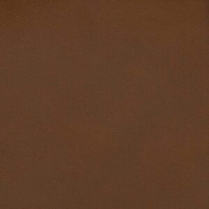 81DOpJ2WUtL._AC_SL1500_